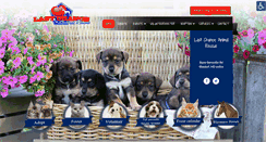 Desktop Screenshot of lastchanceanimalrescue.org